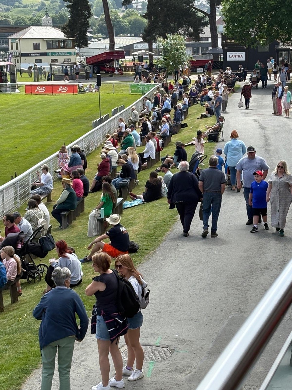 03394728 627E 4C6d A553 F3952718b1ac Large